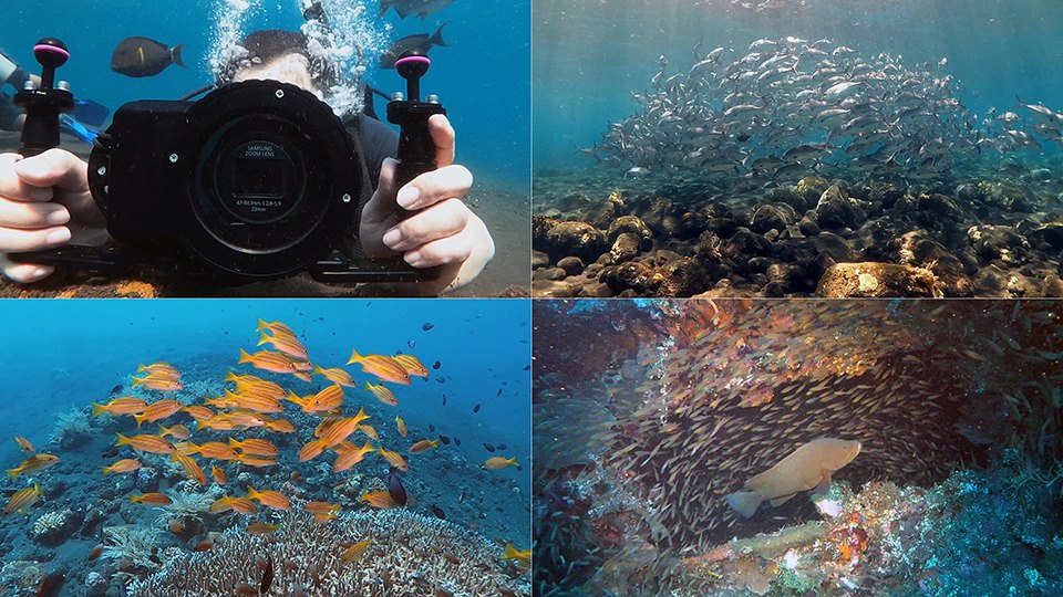 Samsung Galaxy Camera Underwater Video Sample